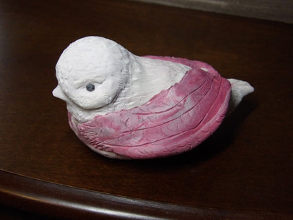 The Pinkwing Enchantress