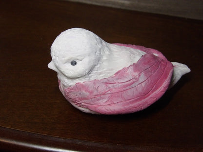 The Pinkwing Enchantress