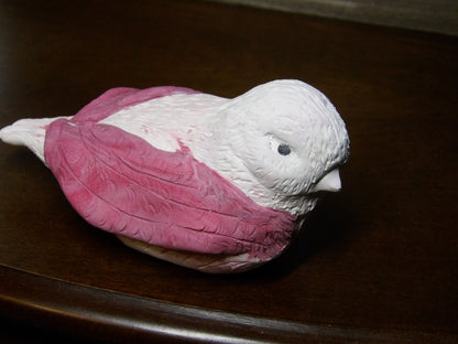 The Pinkwing Enchantress