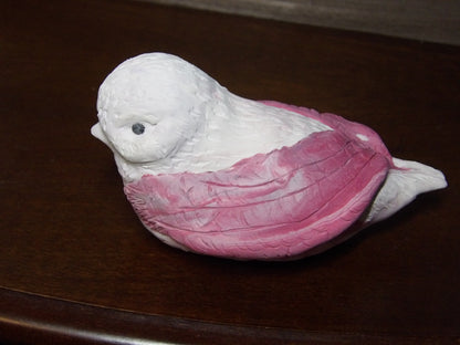 The Pinkwing Enchantress